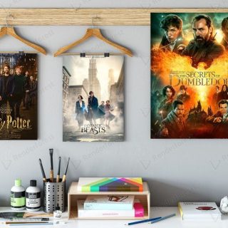 pares con cuadros de película de harry potter saga completa